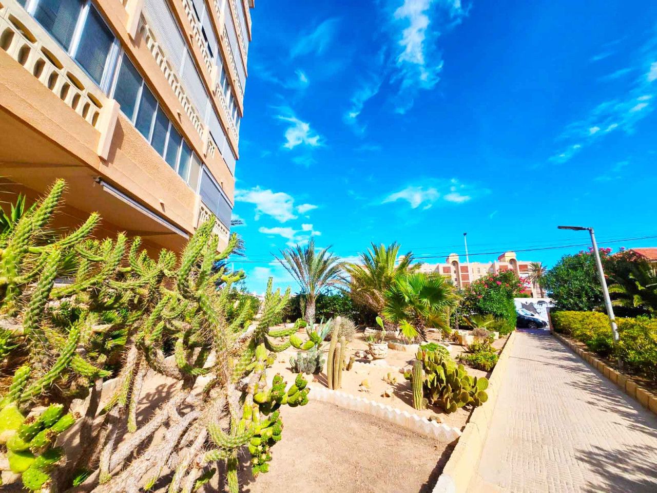 Vista exterior de Apartament en venda en Torrevieja amb Calefacció, Moblat i Forn