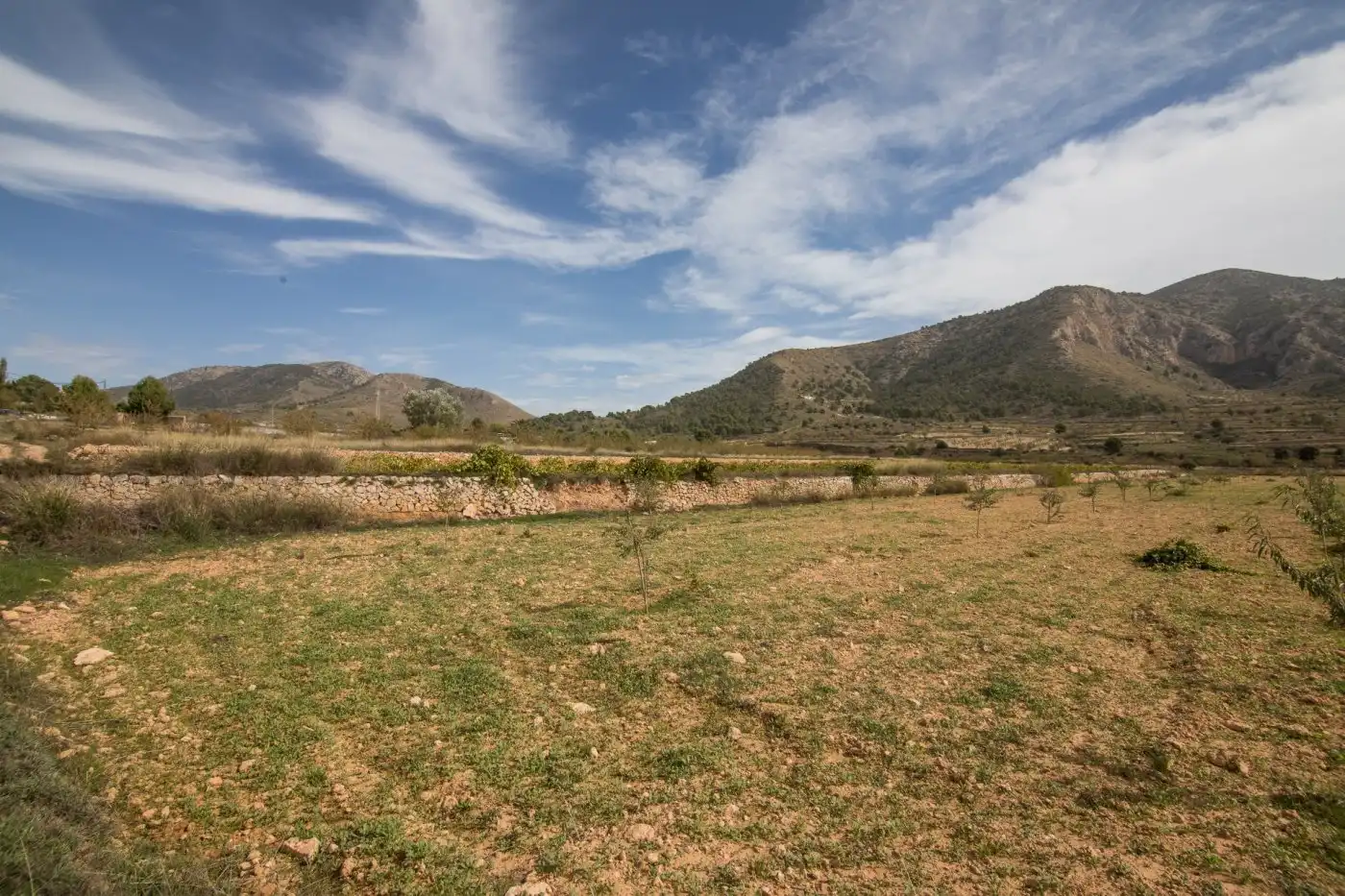 Grundstücke zum Verkauf in Algueña