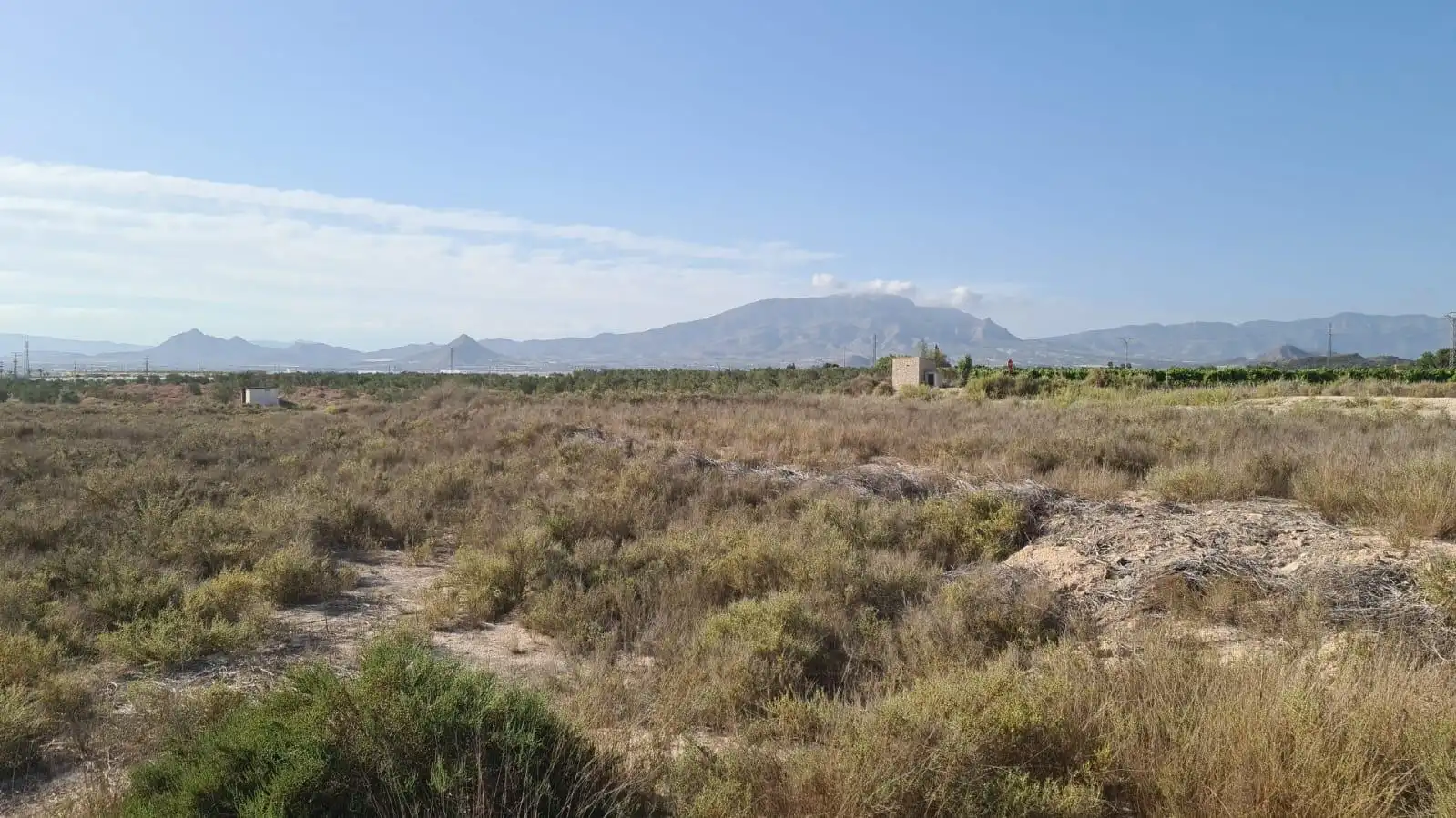 Finca rústica en venda en Alicante / Alacant