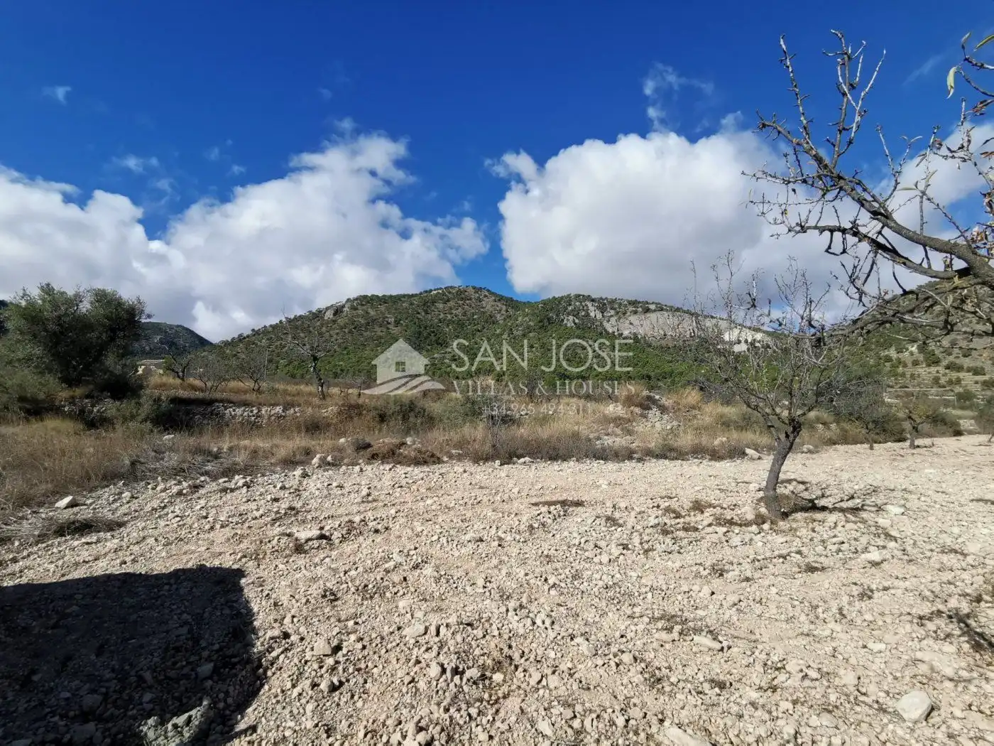 TERRENOS EN MONOVAR ZONA CAVA FRIA CERCA DE ROMANETA, imatge 2