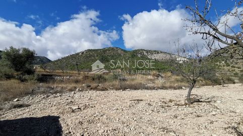 TERRENOS EN MONOVAR ZONA CAVA FRIA CERCA DE ROMANETA, imatge 2