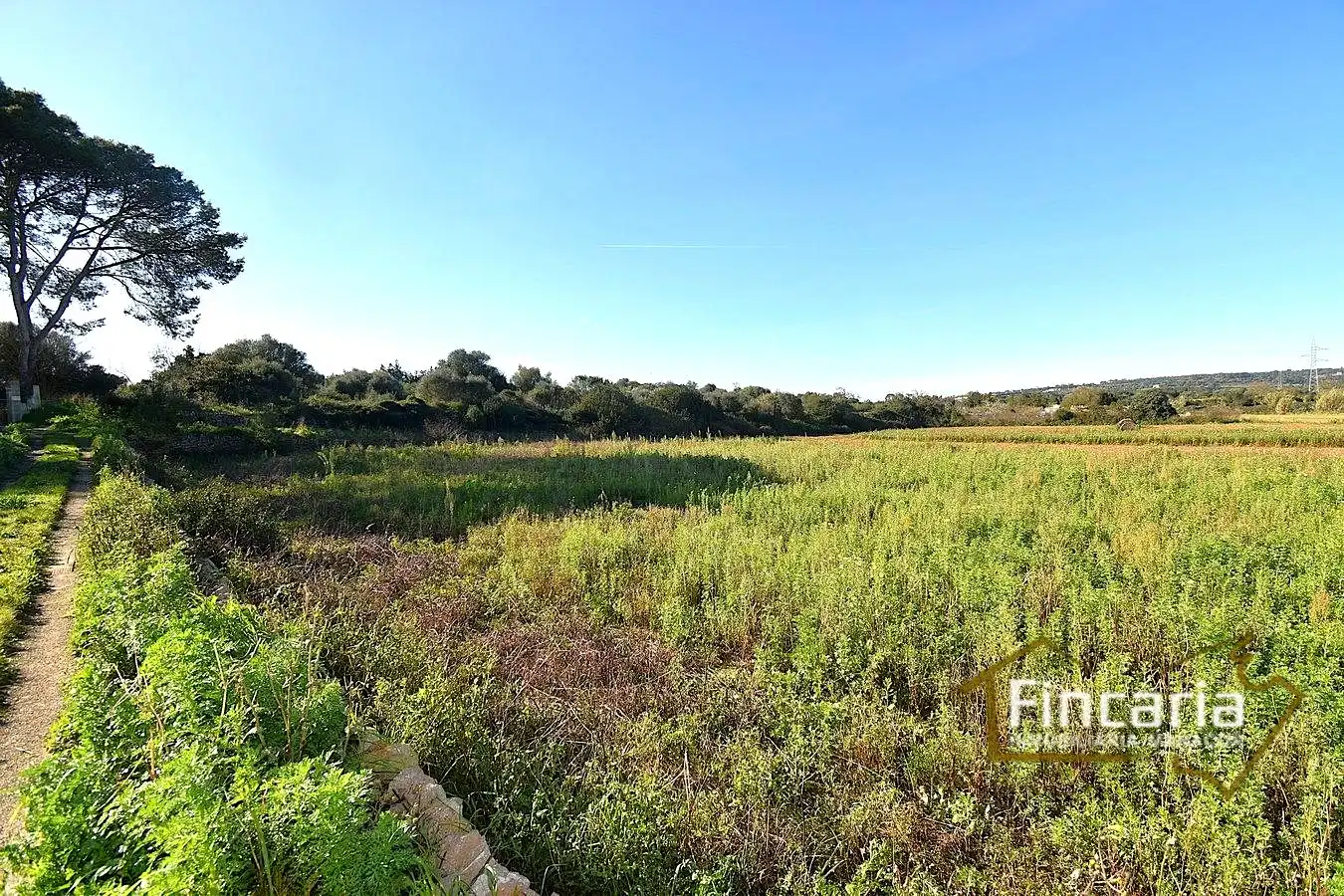 Country house zum Verkauf in Manacor