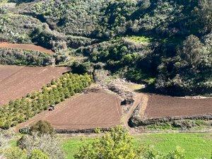 Finca rústica en venda en Moya (Las Palmas)