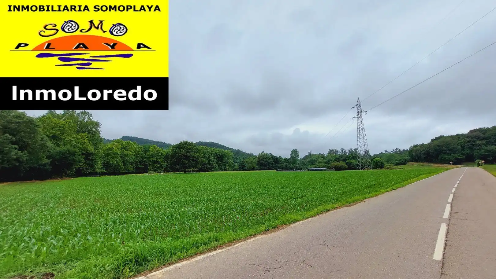 Terrenys i solars en venda a Ribamontán al Monte