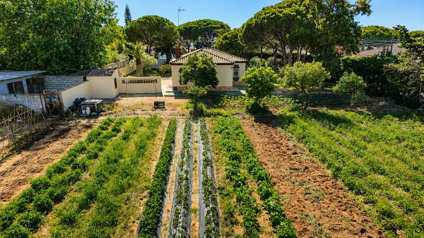 Chalet en venta en Calle Erizo 15, imagen 7