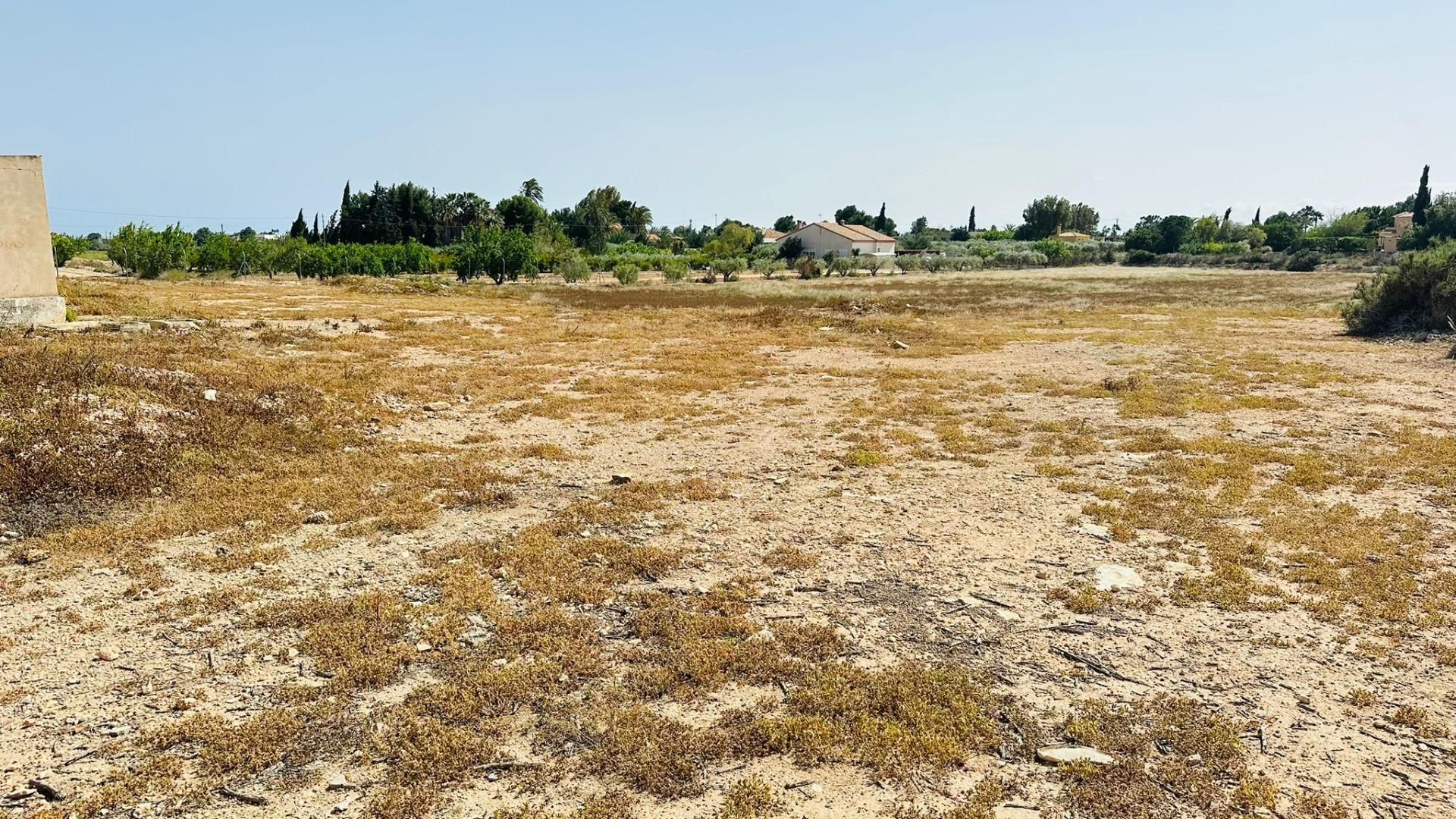 Land for sale in Elche / Elx