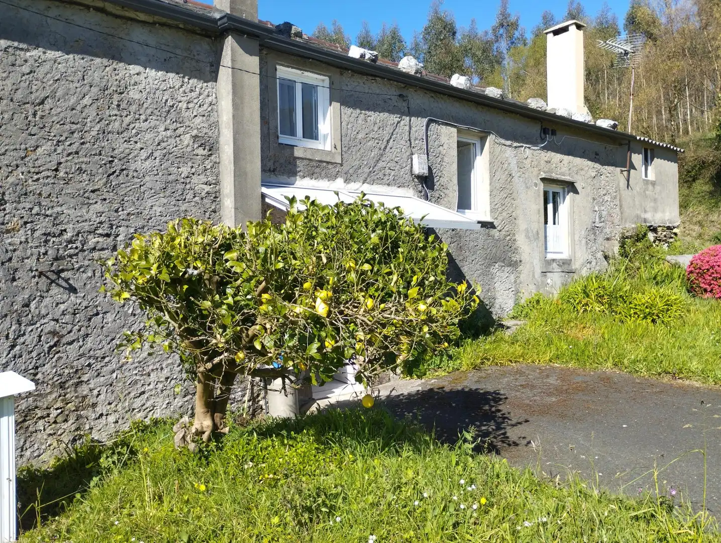 Vista exterior de Casa o xalet en venda en As Somozas  amb Calefacció, Jardí privat i Moblat