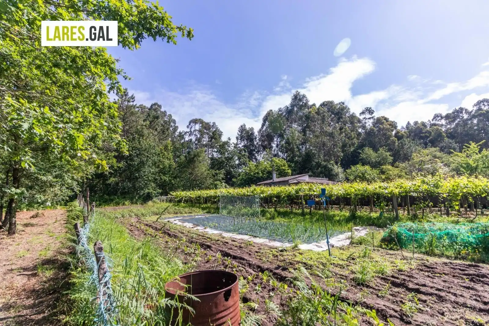 Lands and plots for sale in Rúa Herbello a Magdalena, imagen 7