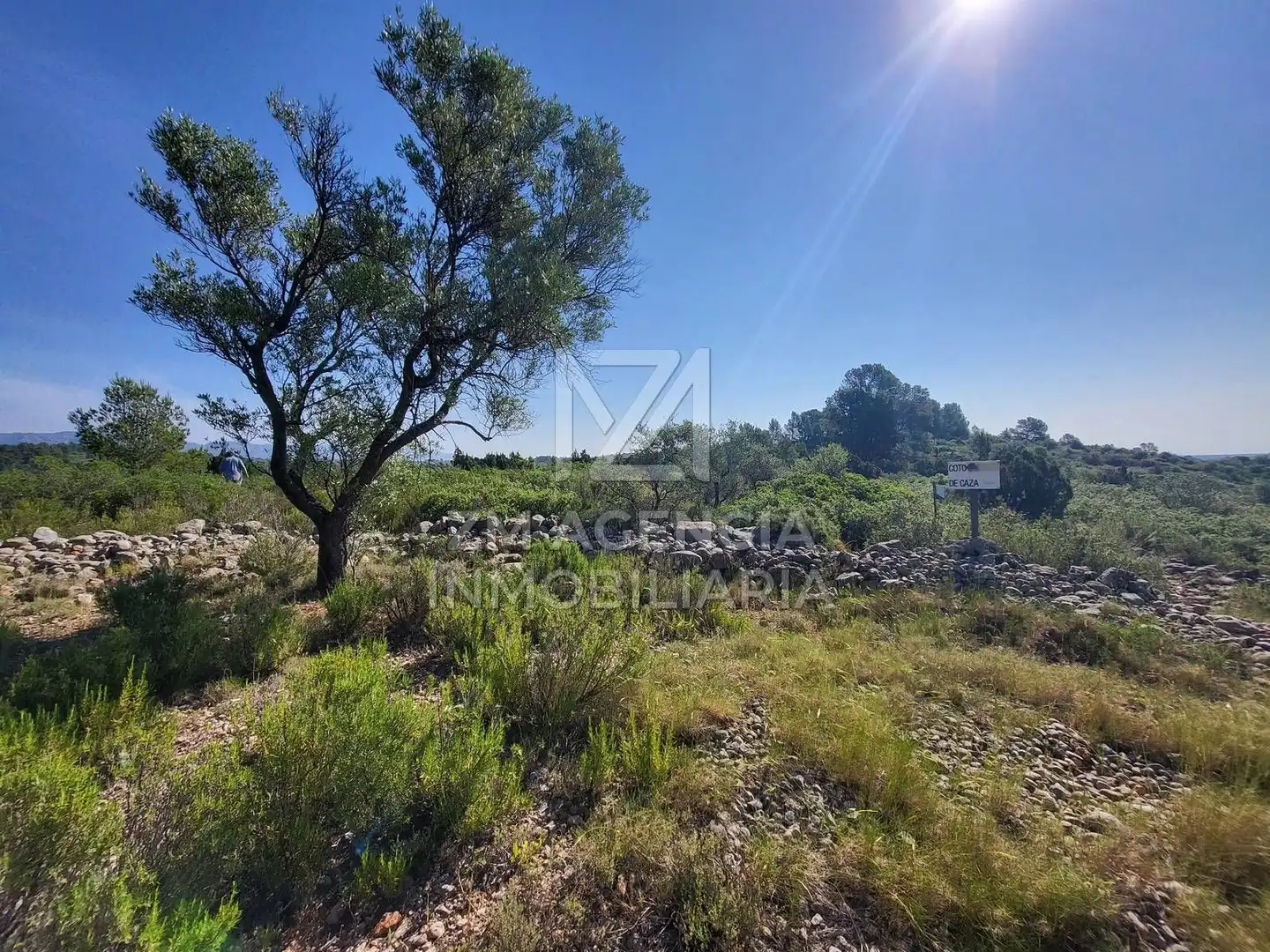 Terreno rustico in vendita a Canet lo Roig, imagen 4