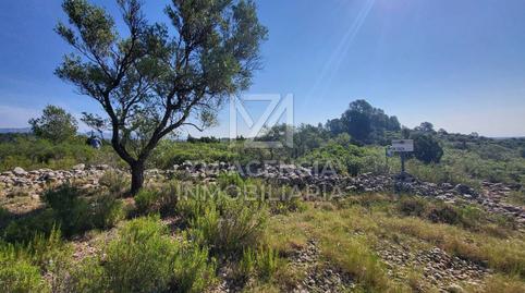 Foto 4 de Terreno en venta en Canet lo Roig, Castellón