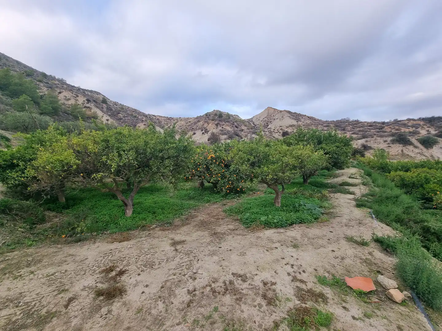 Rural land for sale in Calle Camino Ancho 4, imagen 6