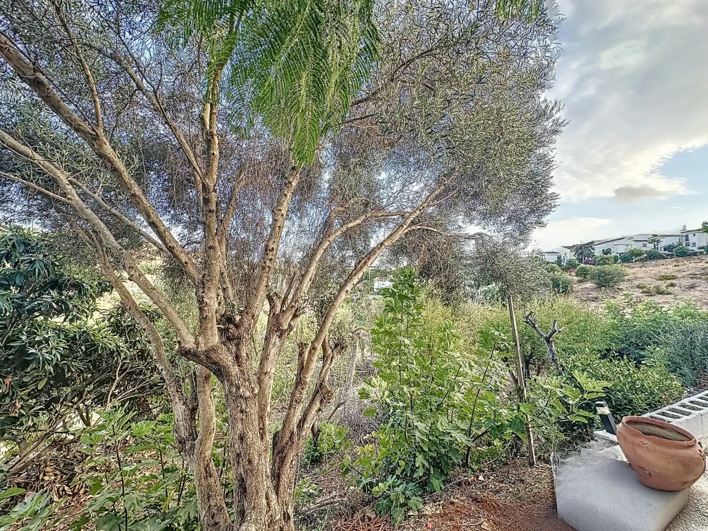 Garten von Country house zum Verkauf in Estepona mit Klimaanlage, Privatgarten und Terrasse