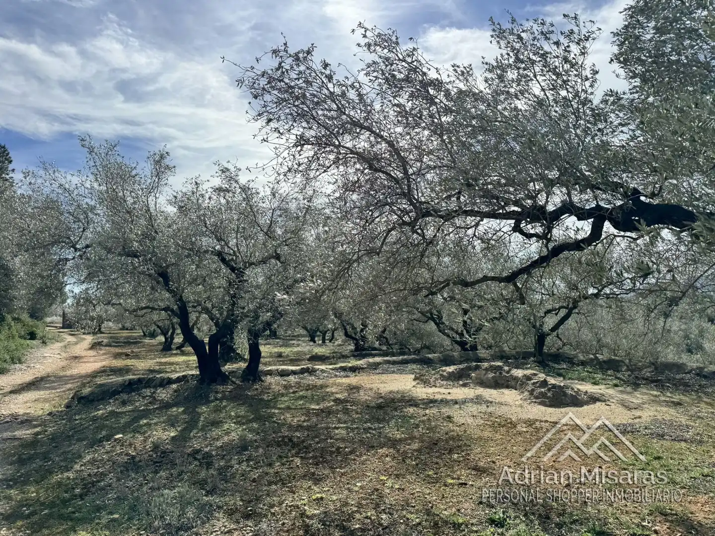 Terreno rústico en venta en L'Aldea, imagen 5
