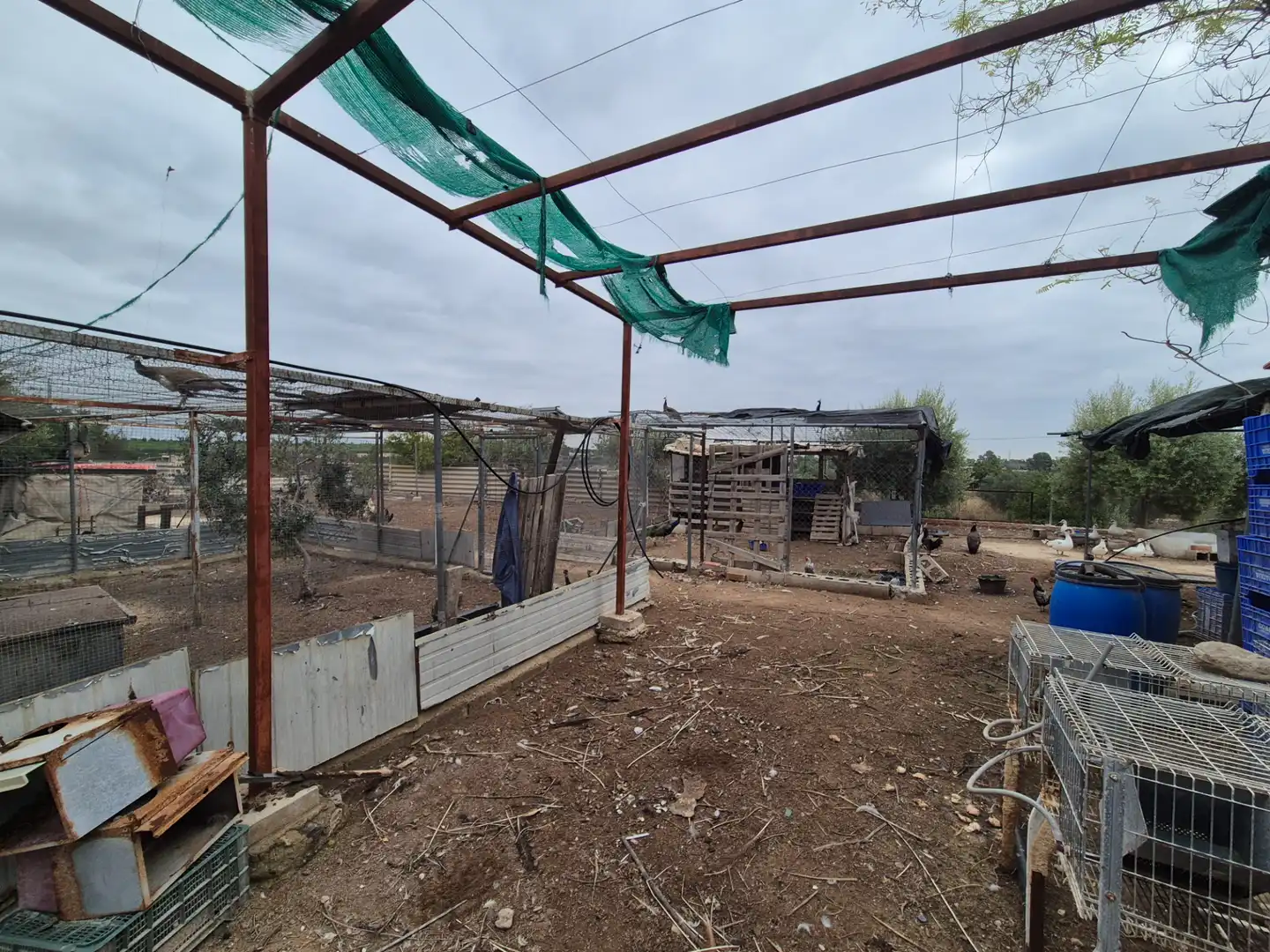 Finca rústica en venda en Las Torres de Cotillas amb Jardí privat, Terrassa i Traster