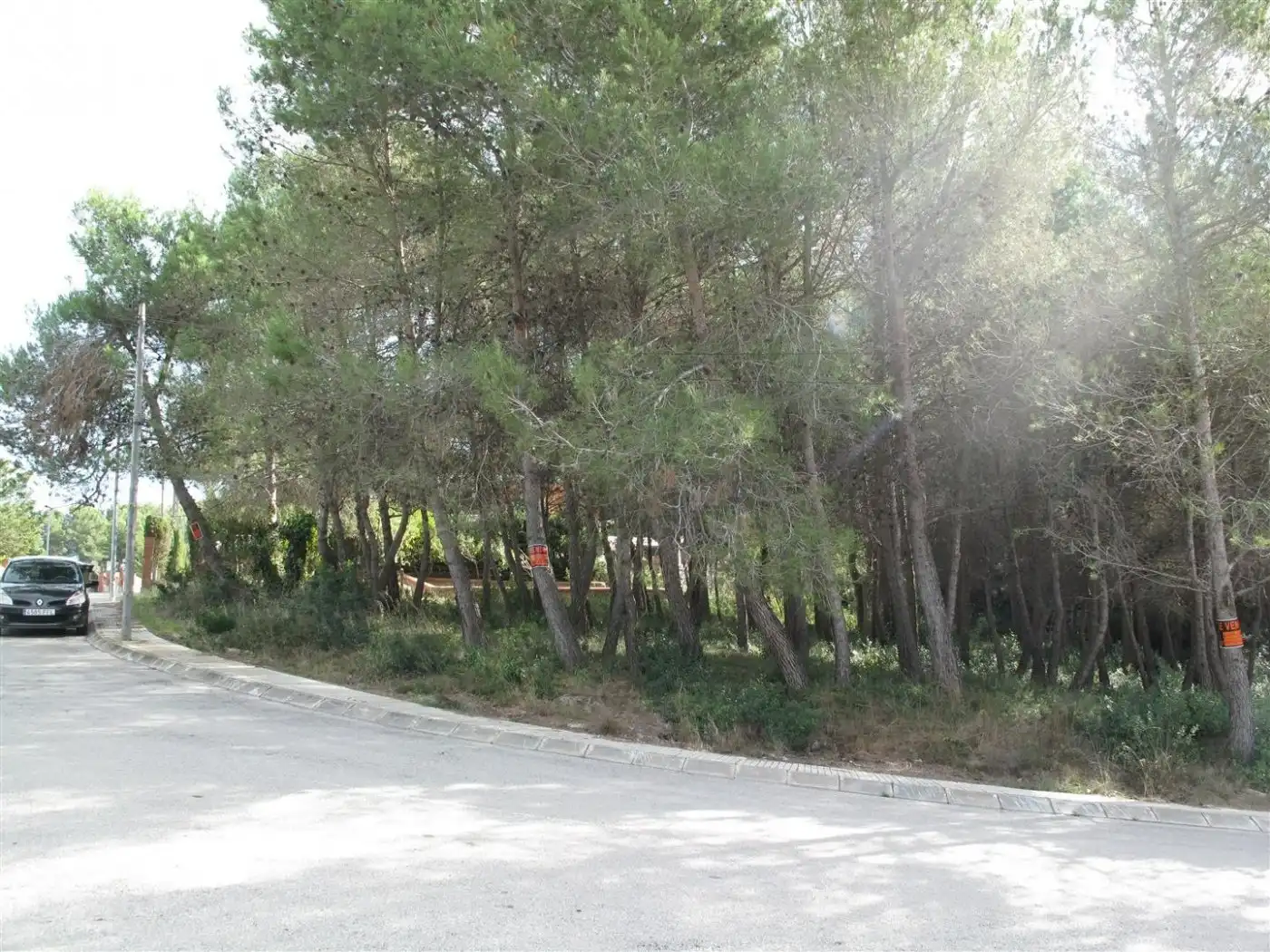 Terreny residencial en venda a Olesa de Bonesvalls, imagen 3