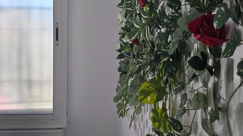 Photo 5 of Planta baja for sale in Avenida de Nostra Senyora del Carme, Centre, Pineda de Mar