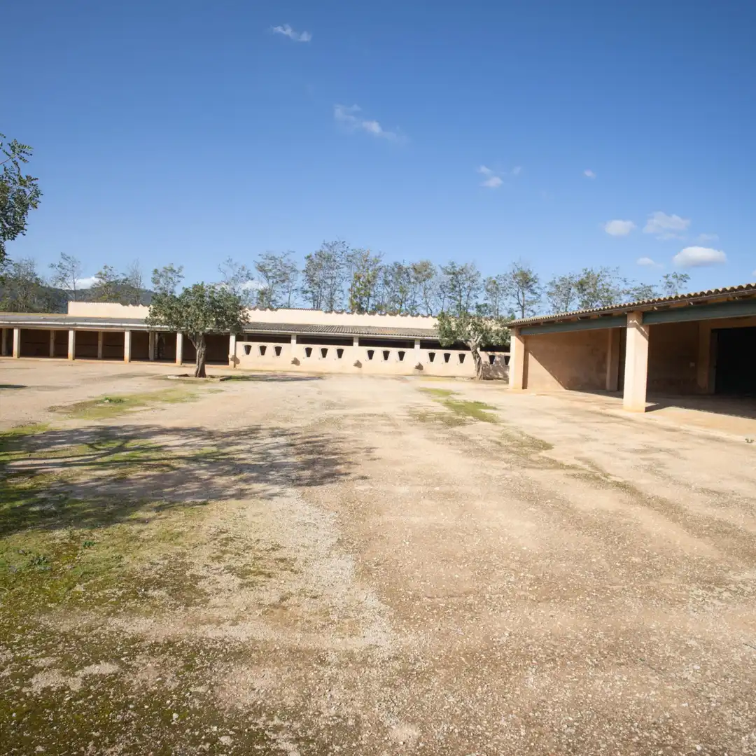 Maison avec jardin à vendre à Inca - Carrer del Rei, imagen 37