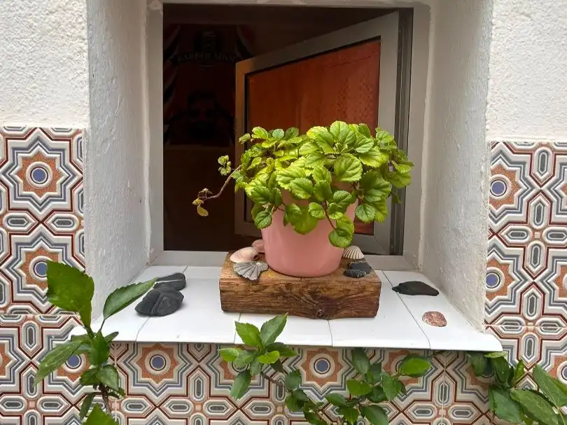 Chalet en venta en Calle juan morrison 28, imagen 11