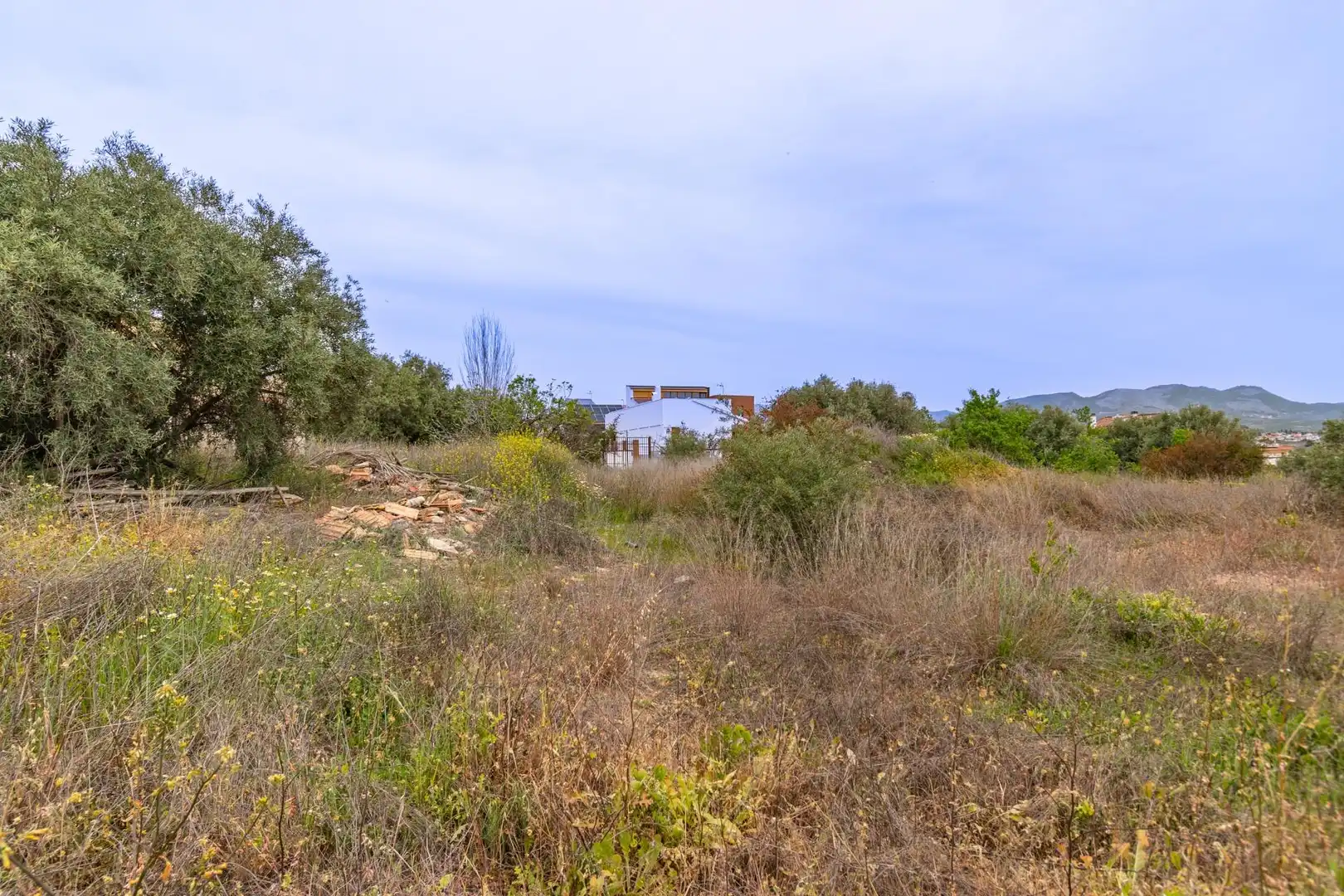 Terreno residencial en venta en El Torreón - Cortijo Pretel, imagen 14