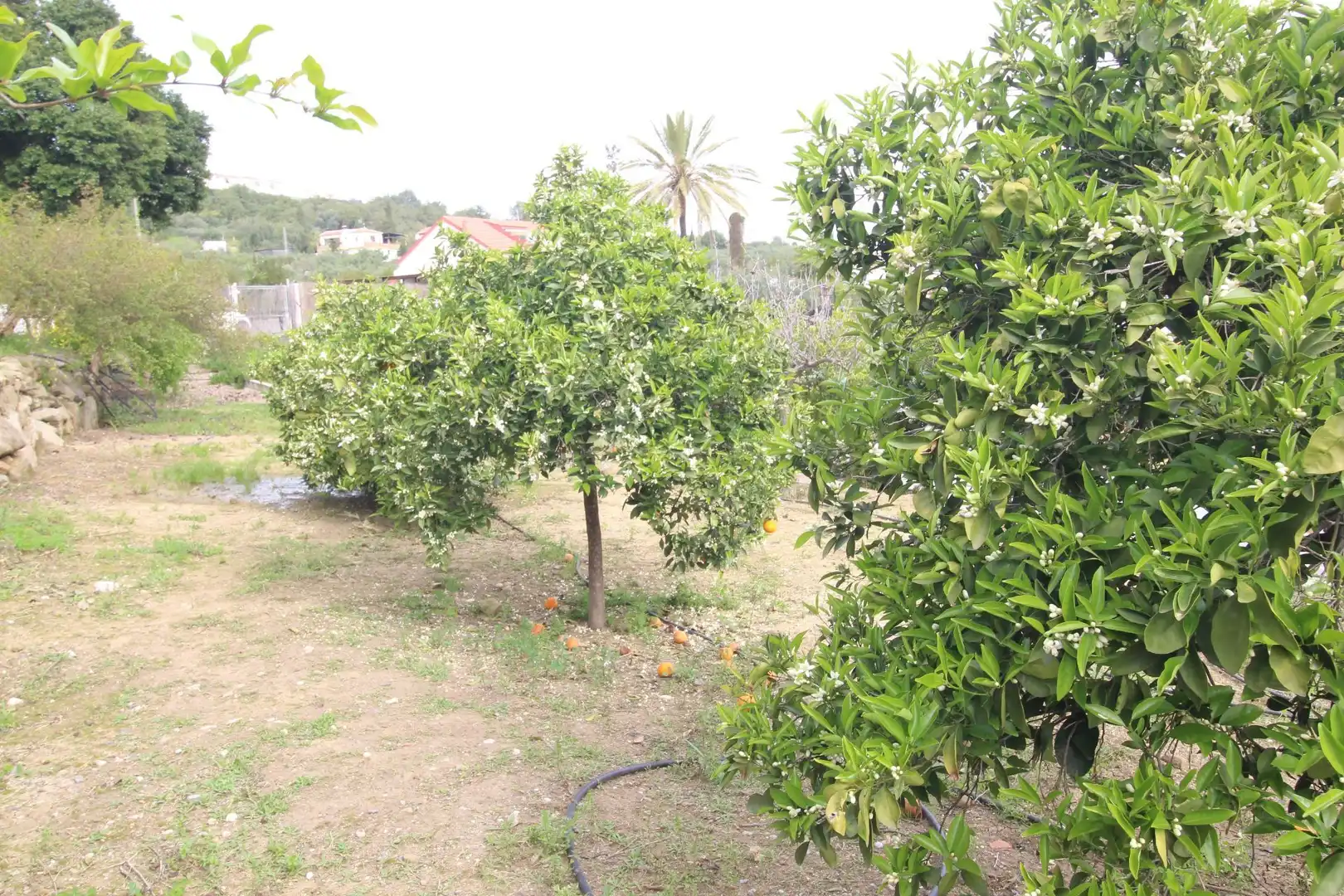 Casa rústica amb piscina en venda a Álora, imagen 42