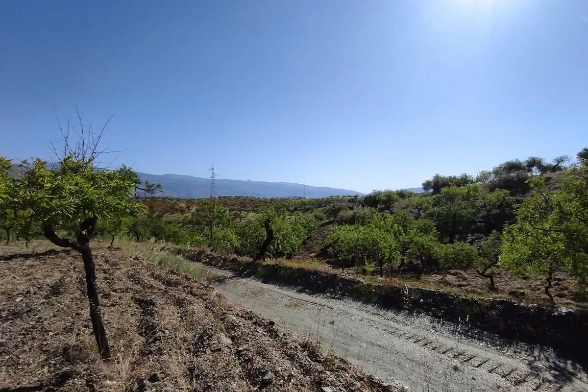Grundstücke und Bauplätze zum Verkauf in Ugíjar, imagen 5