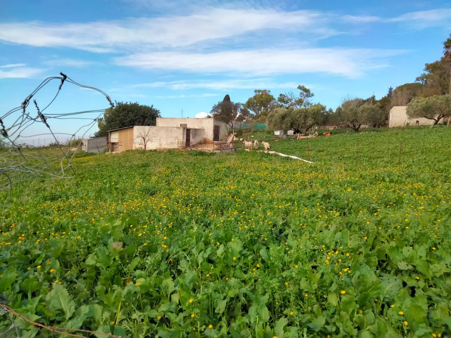 Terreny residencial en venda a Medina Sidonia, imagen 3