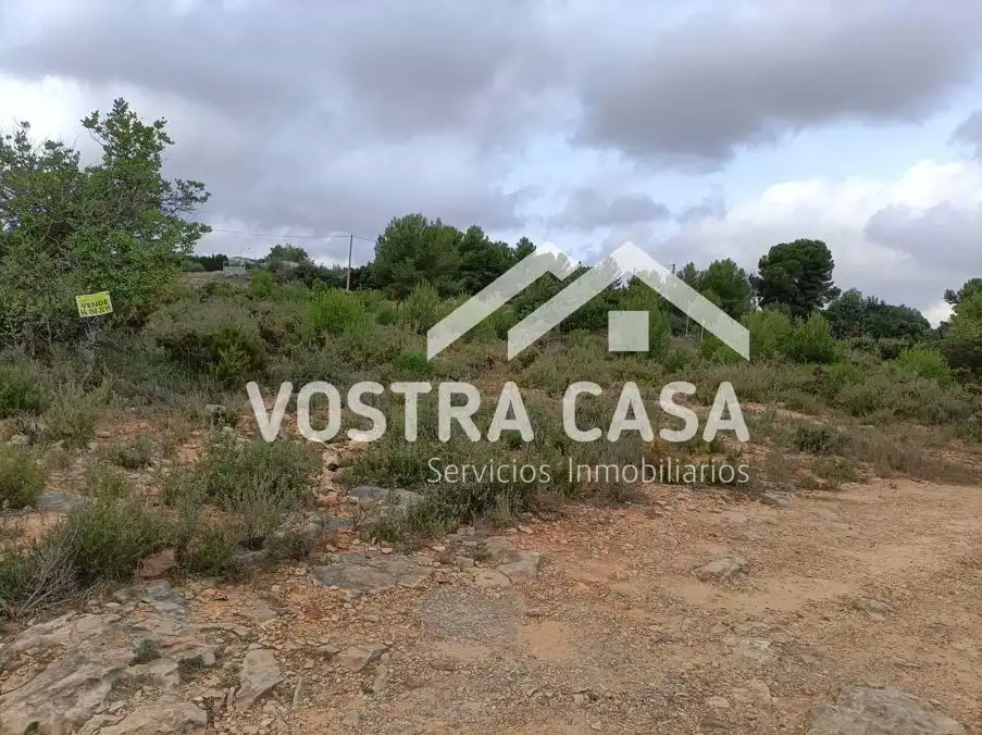 Terreno rustico in vendita a LOMA CABALLEROS, imagen 2