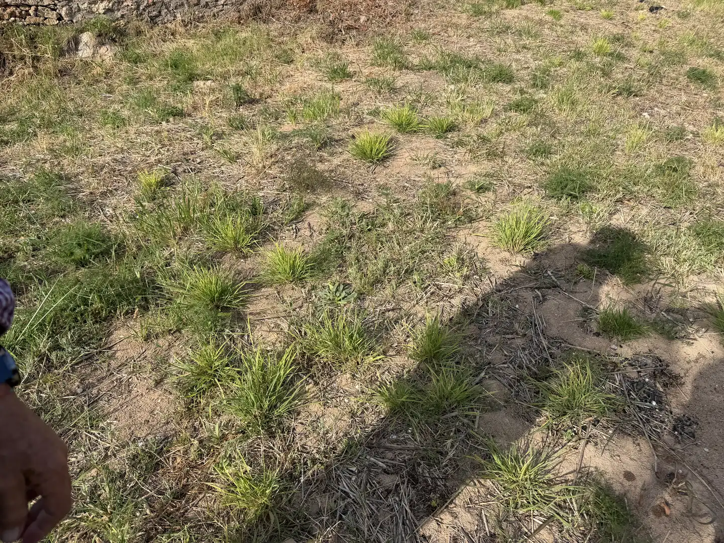 Land for sale in Alcossebre