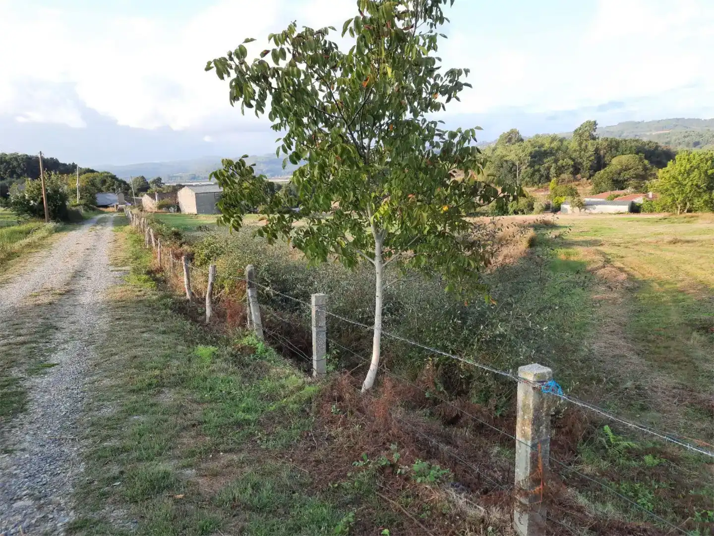 Piso en venta en Silleda