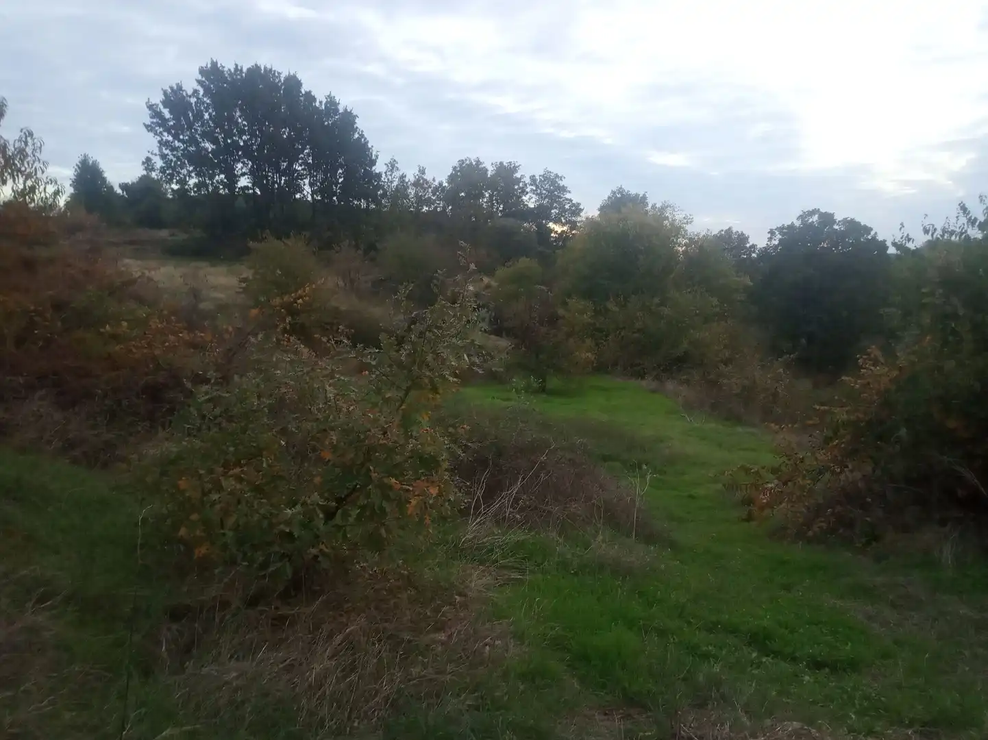 Terreni e lotti in vendita a Jarandilla de la Vera, imagen 10