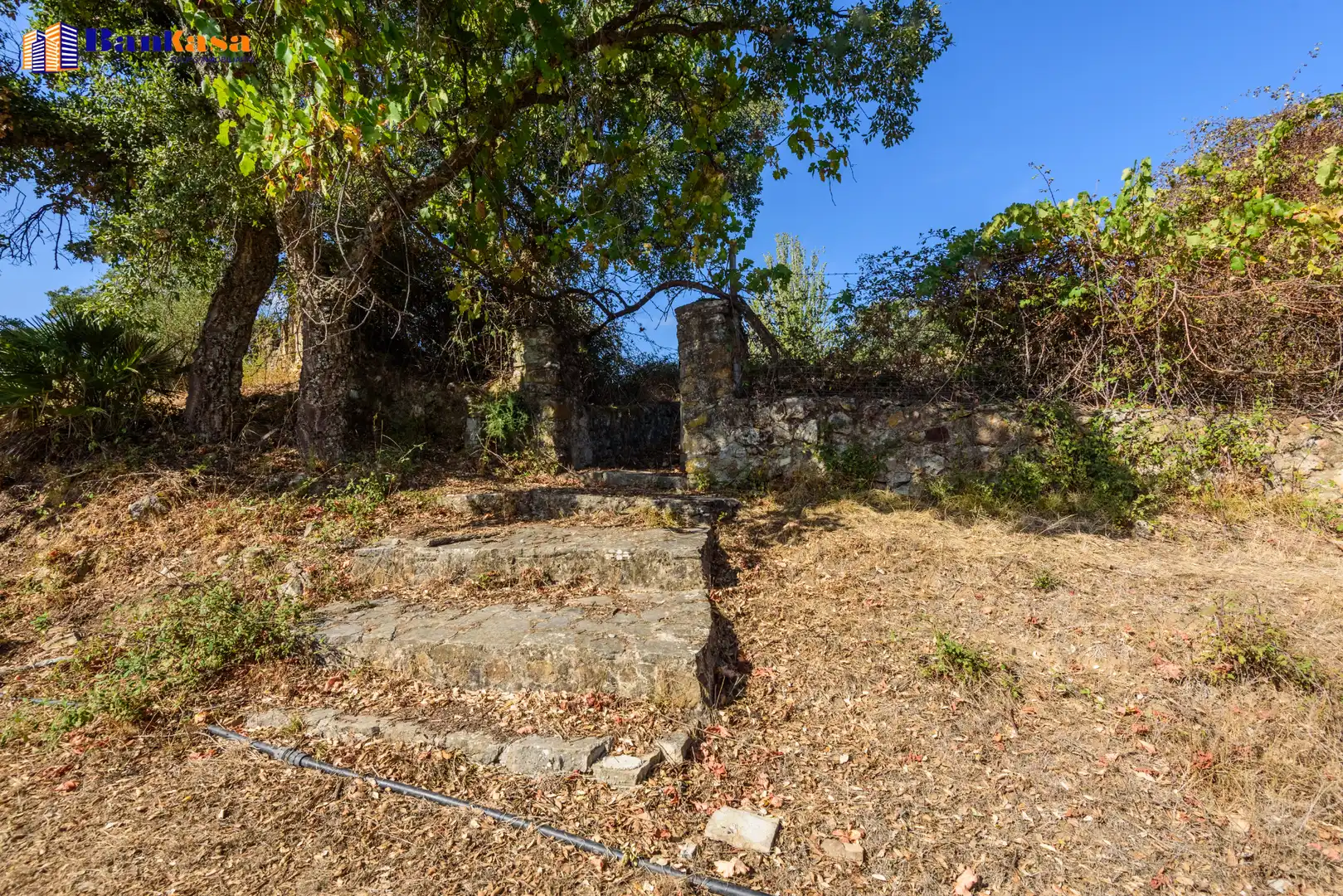Casa o xalet en venda en Cortes de la Frontera amb Calefacció, Jardí privat i Moblat