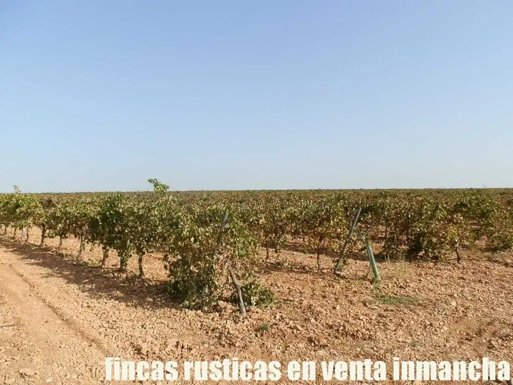 Terrenys i solars en venda a Almagro, imagen 23