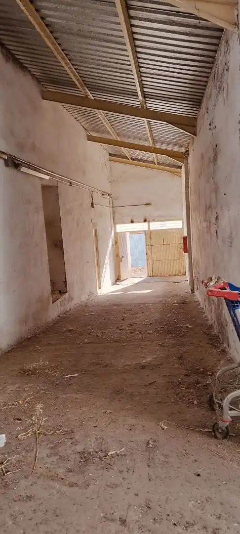 Nau industrial en venda en Puertollano