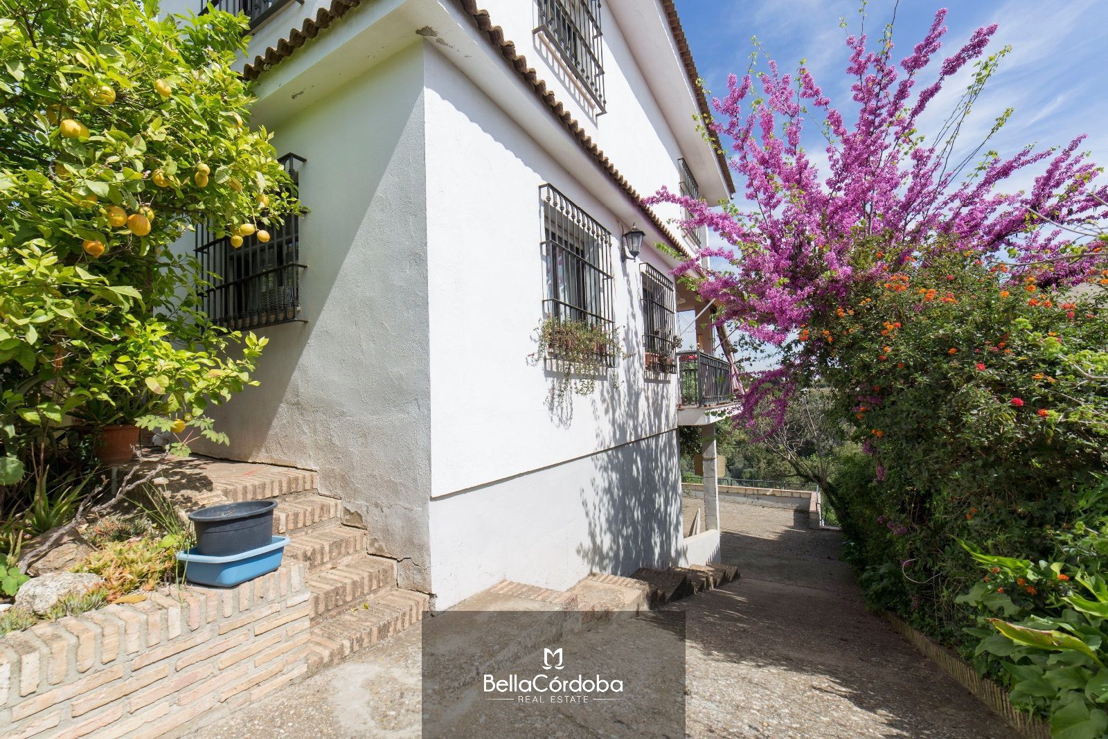 House or chalet for sale in El Brillante -El Naranjo - El Tablero