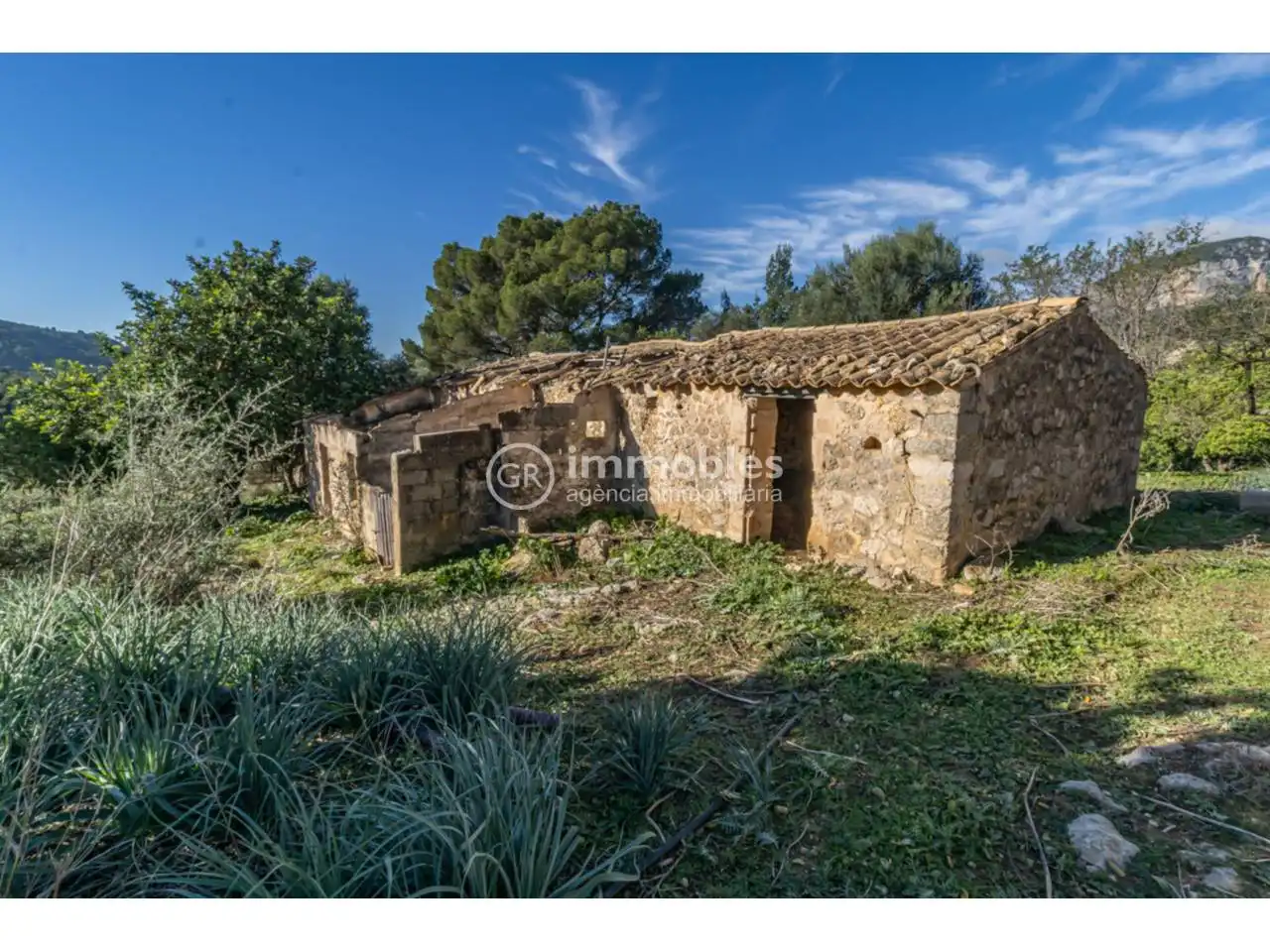Terreny rústic en venda a Alaró, imagen 7