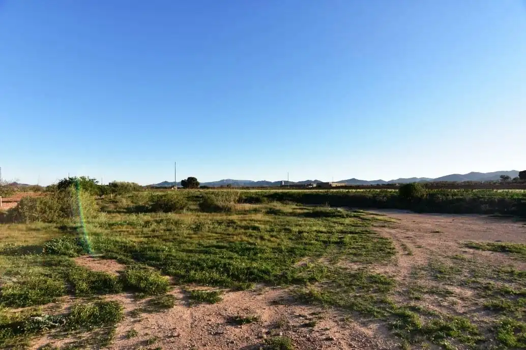 Finca rústica en venta en Fuente Álamo de Murcia con Jardín privado, Terraza y Trastero