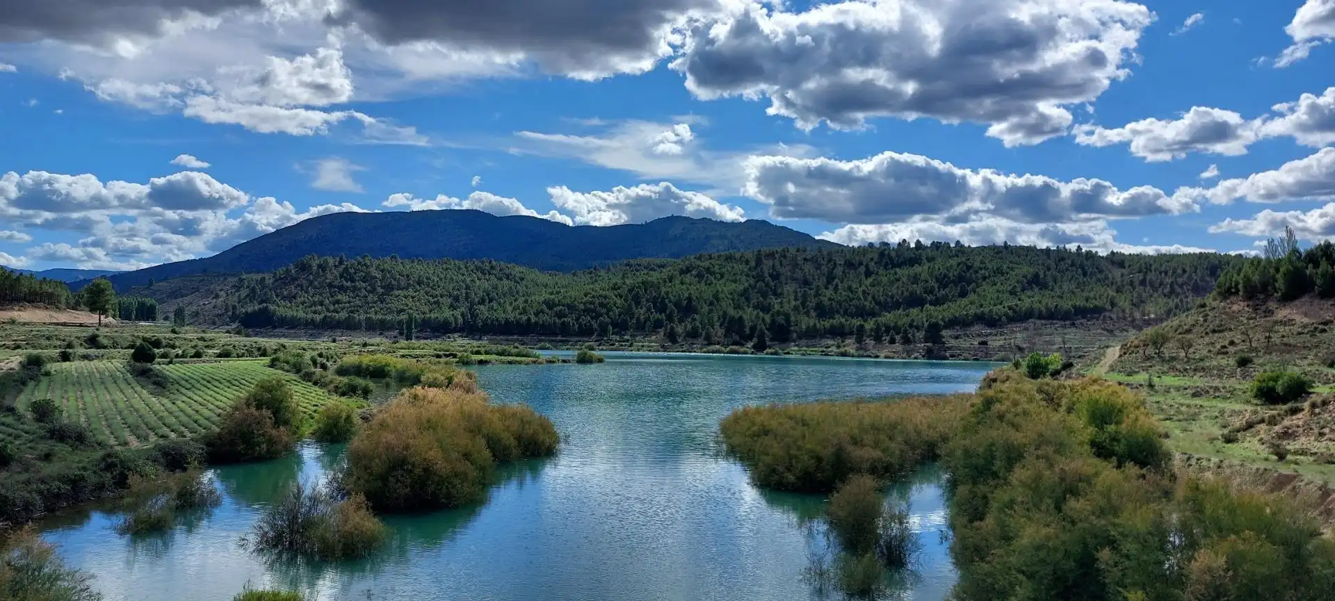 Vista exterior de Finca rústica en venta en Nerpio con Jardín privado, Terraza y Amueblado