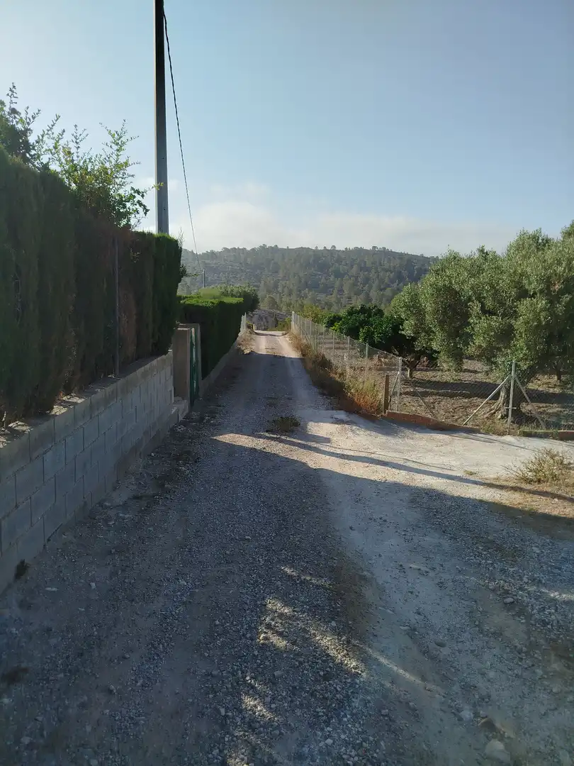Terreno rústico en venta en Partida de la Fuente, imagen 2