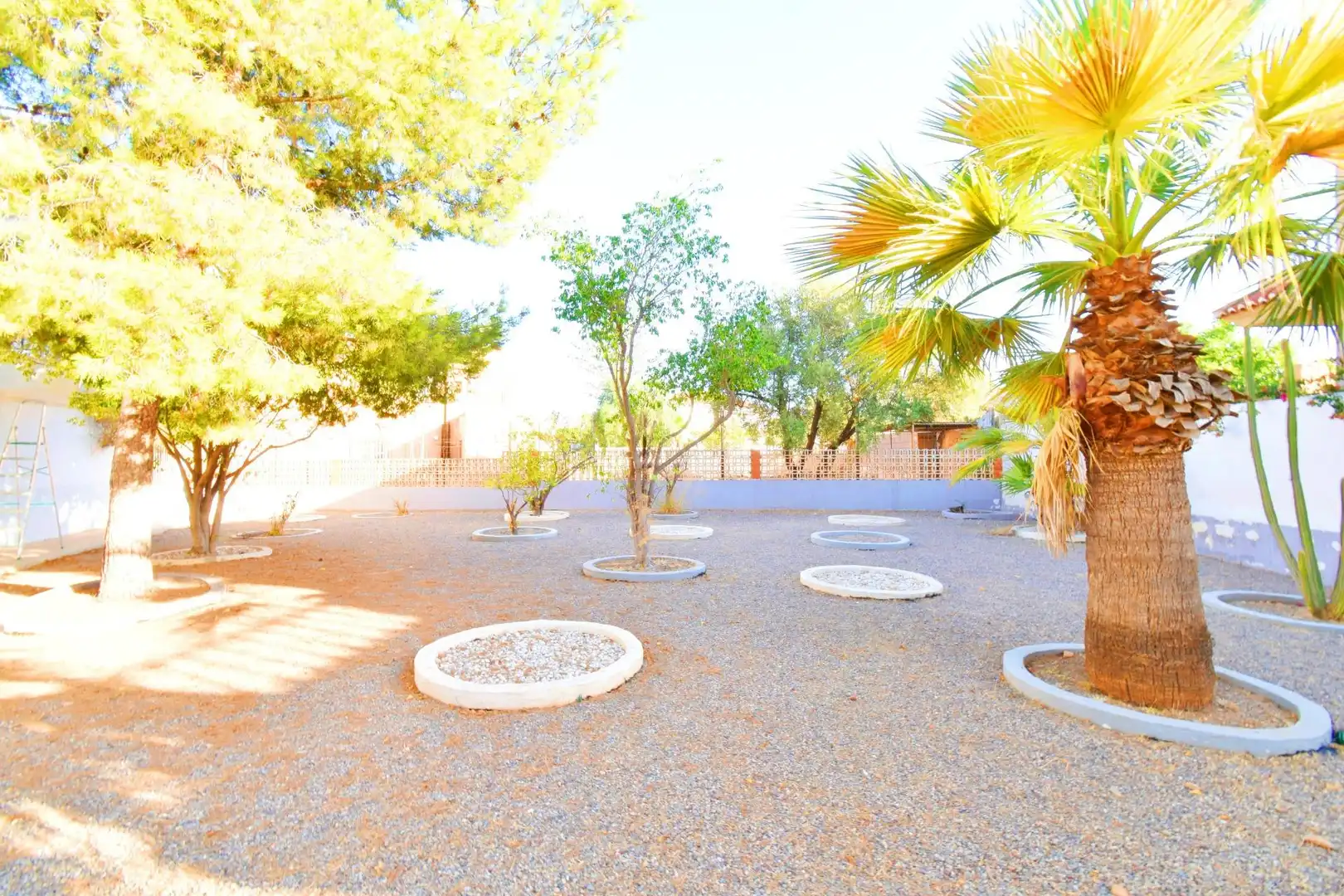 Villa mit Terrasse zum Verkauf in El Ejido Ciudad, imagen 65