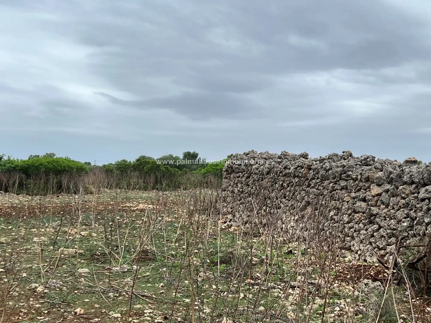 Residencial en venta en Ariany