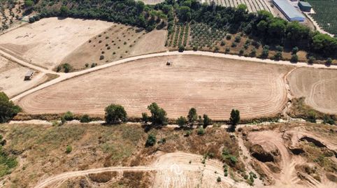 FINCAS RÚSTICAS EN TRIGUEROS, immagine 2