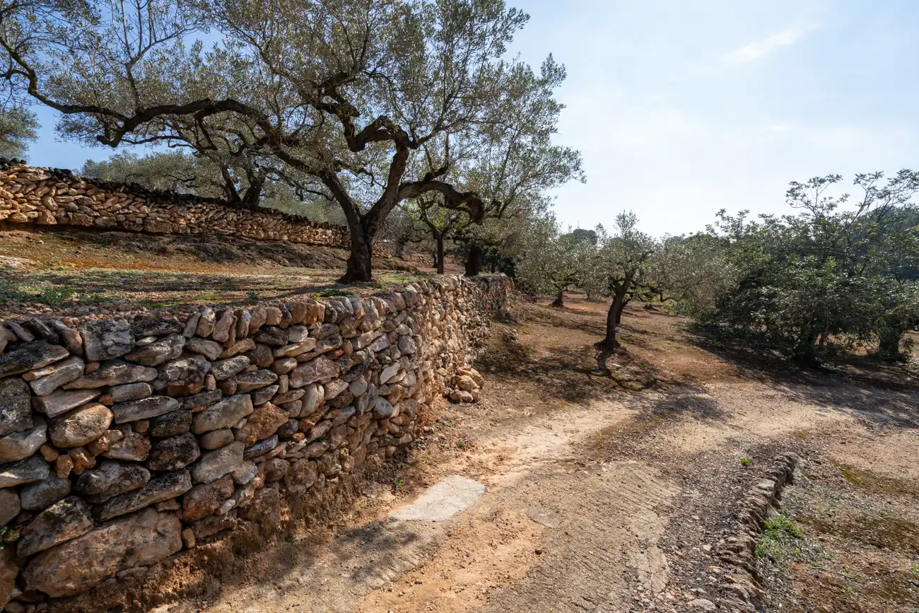 Terrain rustique à vendre à Camí Del Filato 1093, imagen 9