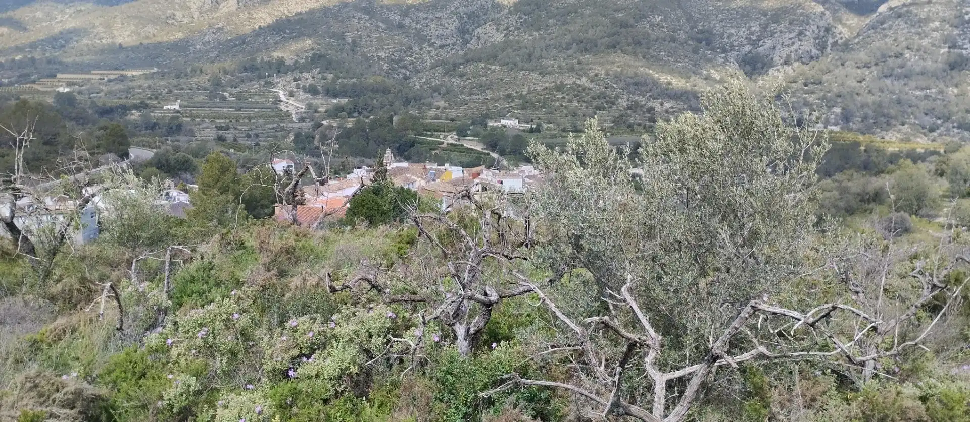 Terreny rústic en venda a La Vall de Gallinera, imagen 8