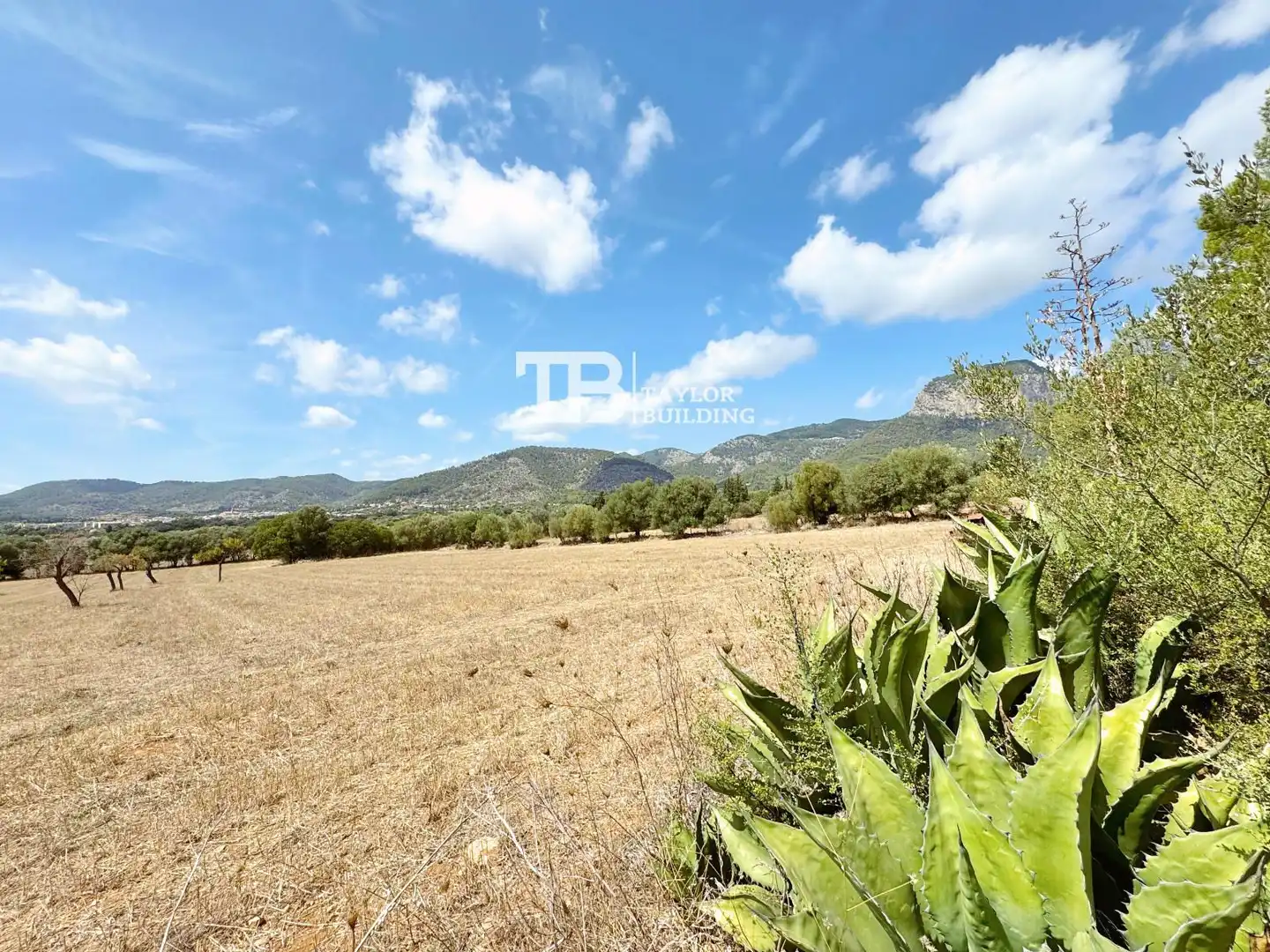 Casa o xalet en venda en Alaró amb Terrassa i Piscina