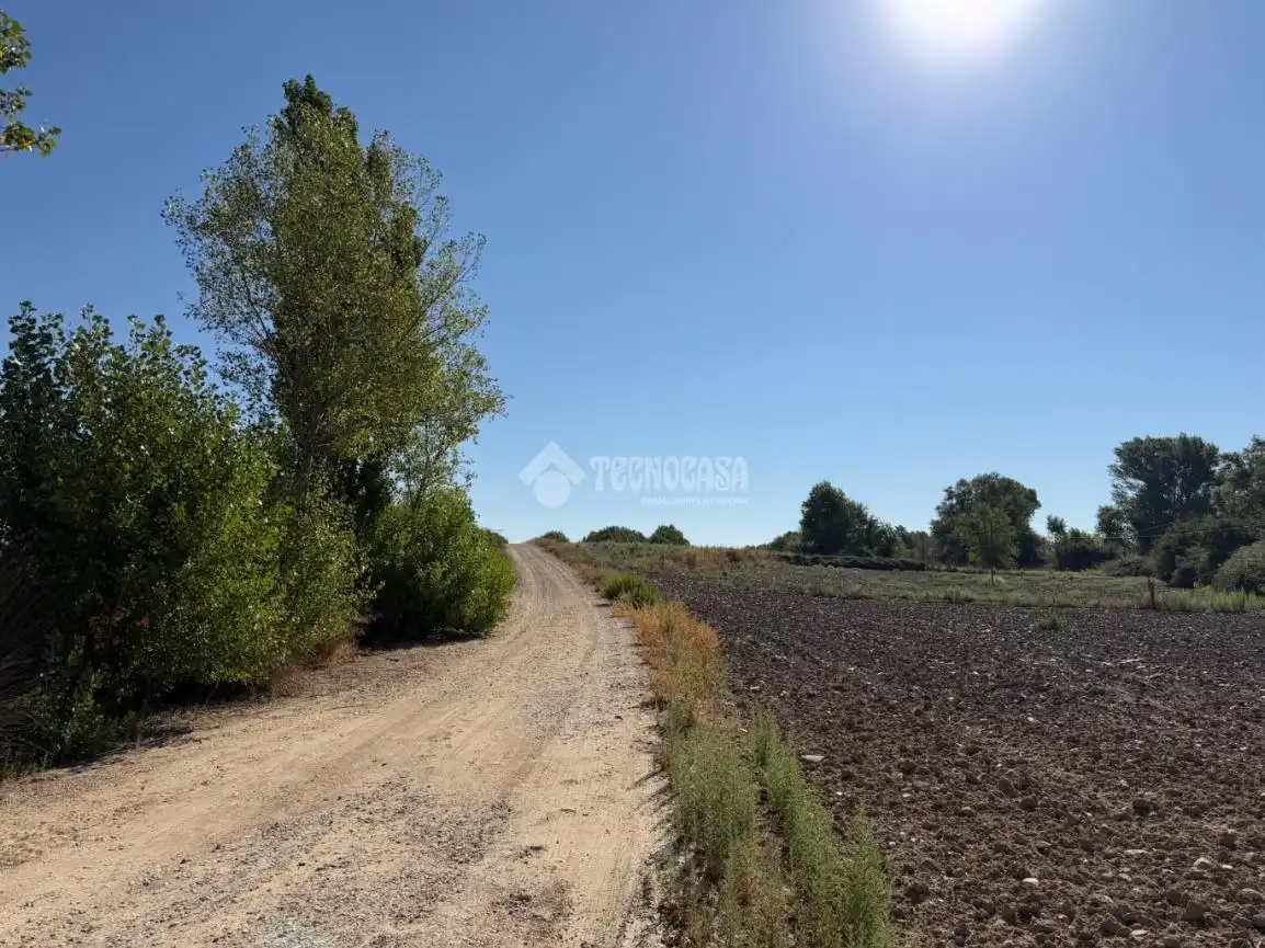 Terreny rústic en venda a Fuente El Saz de Jarama, imagen 13
