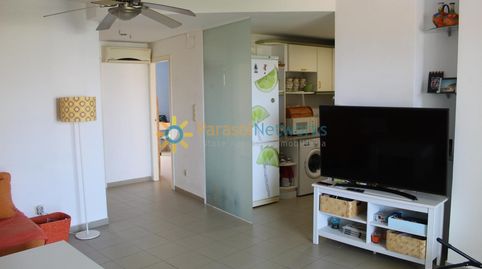 Foto 4 de Apartamento de alquiler en Oliva Nova, Oliva