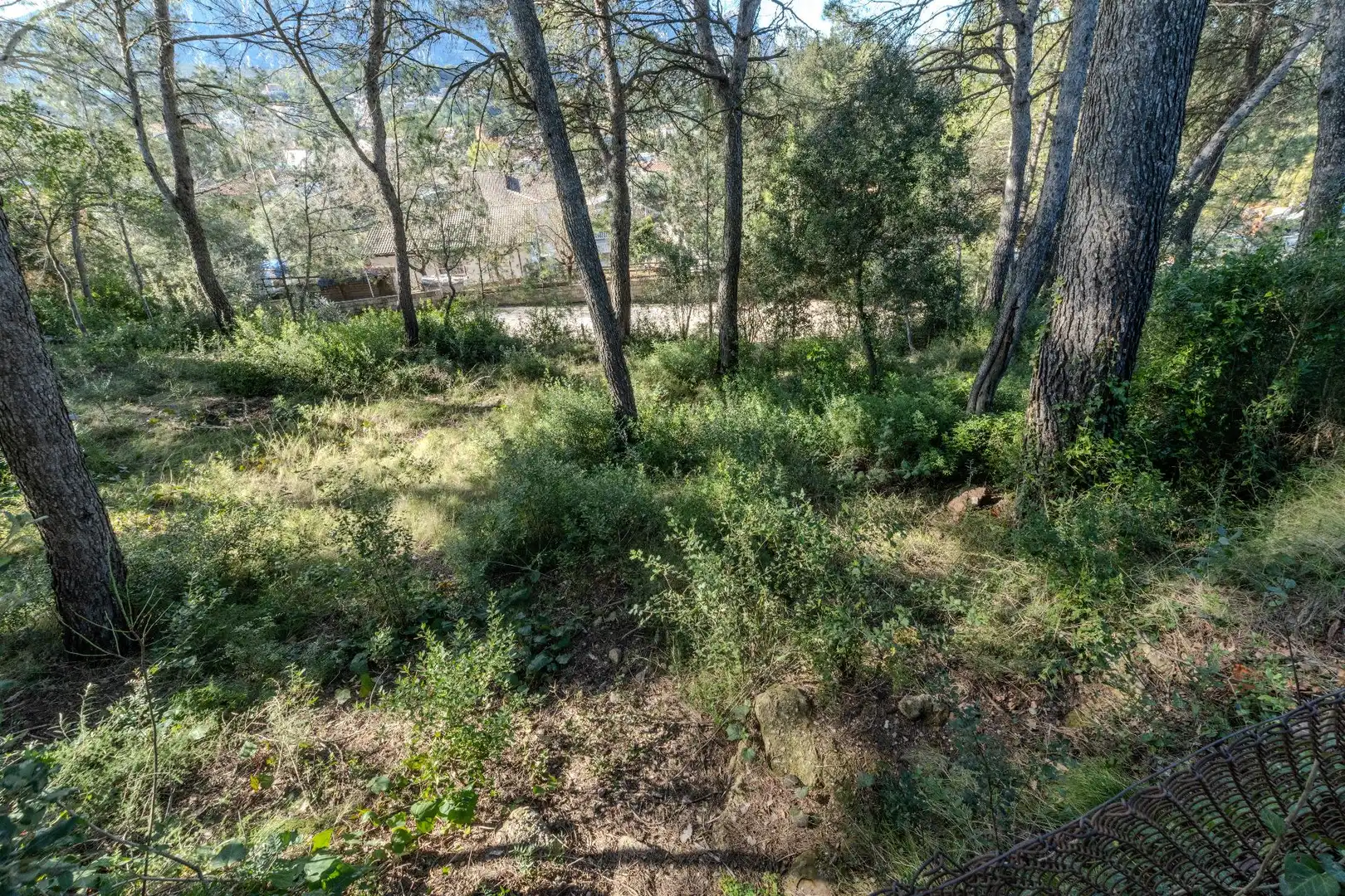Lands and plots for sale in Castellbell i el Vilar, imagen 5