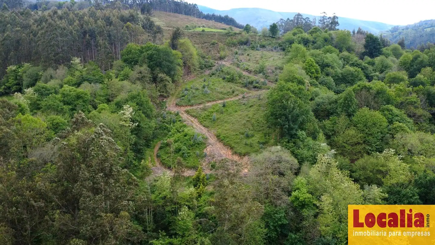 Terreno rustico in vendita a Poblado Valle, imagen 10