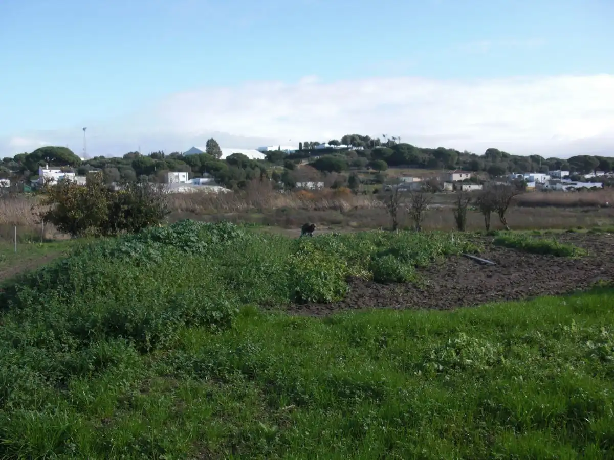 Casa rústica en venda a Barbate ciudad, imagen 10