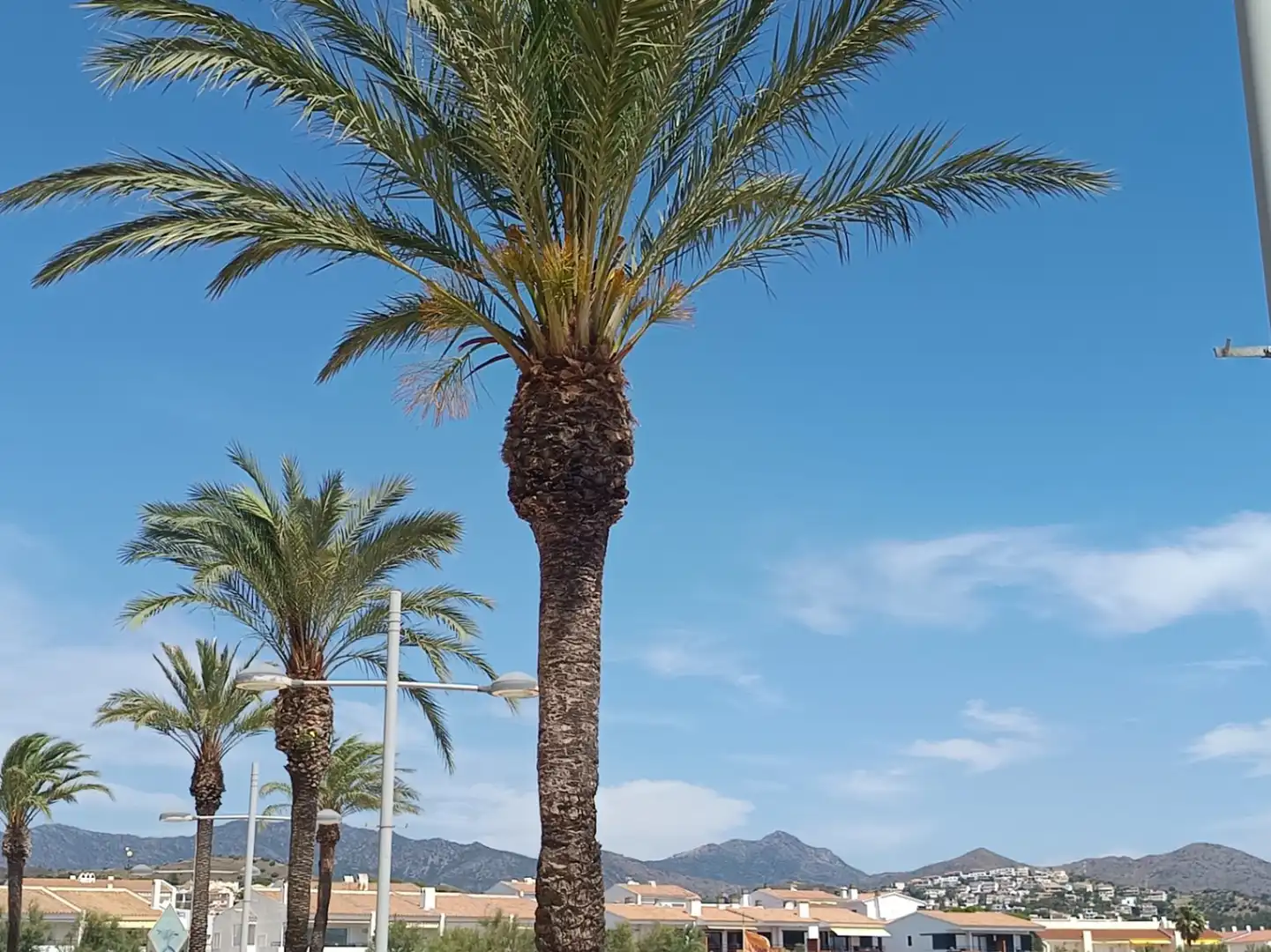 Vista exterior de Finca rústica en venta en Vilajuïga con Terraza, Trastero y Balcón